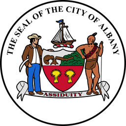 Albany NY 311